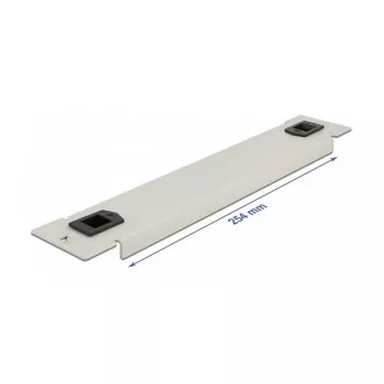 Blind panel DeLOCK 10 inch tīkls Cabinet 66629