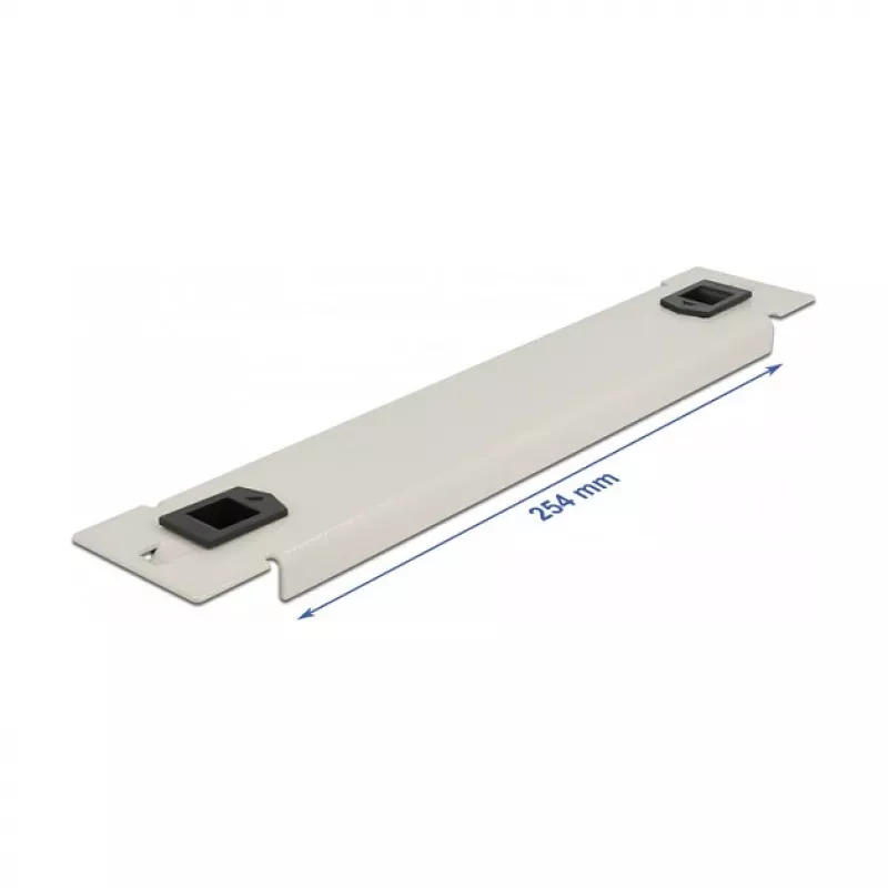 Blind panel DeLOCK 10 inch tīkls Cabinet 66629