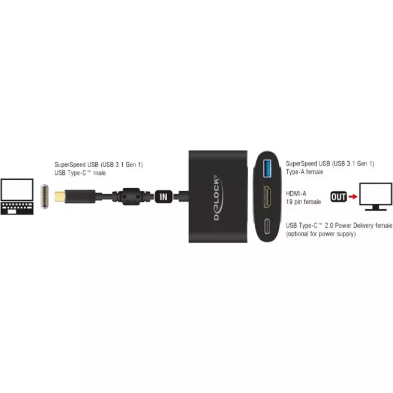 DeLOCK - Ārējais video adapteris - VL101 - USB-C 3,1 - HDMI - Pelēks - mazumtirdzniecība (62991)