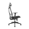 Ergonomisks premium klases krēsls Ergo Officer ER-414