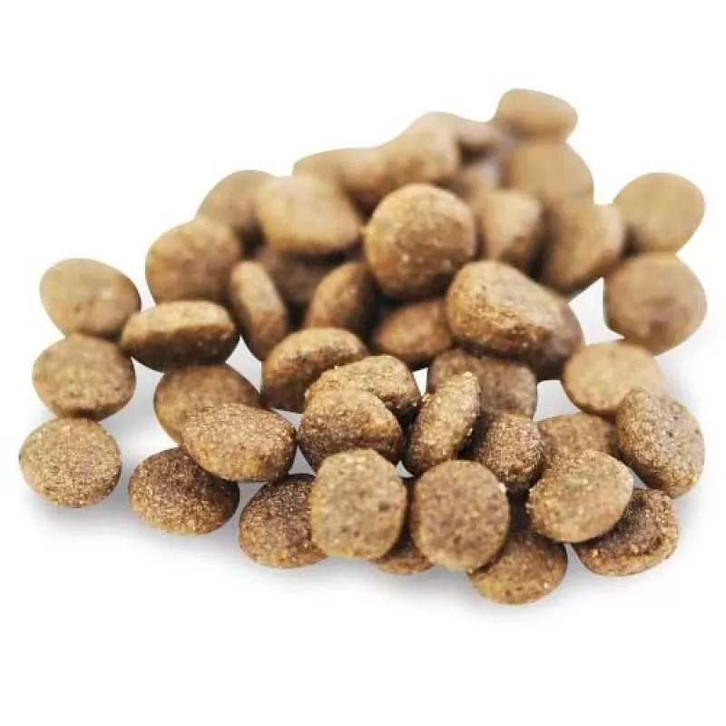 Fish4Dogs Superior Senior S Salmon sausā suņu barība mazo šķirņu suņiem, 1,5 kg