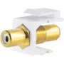Keystone Module ShiverPeaks 08-10065 plakans Gold balta RCA