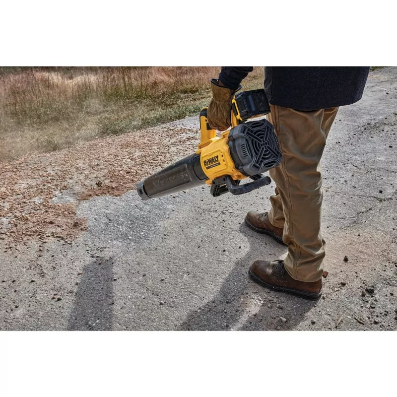 DEWALT. Pūtējs 18V XR DCMBL562N
