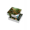 Imagination Puzzle: Ernst Haeckel Muscinae 1000 gab.
