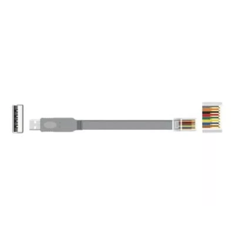 Saskarnes karte DELOCK 63911
