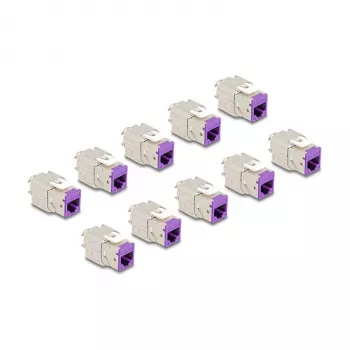 DeLOCK keystone modulis 88121 Plakans violets RJ-45 10 gab.