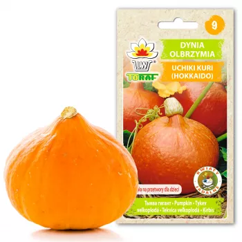 Uchiki Kuri Pumpkin Toraf Vegetable Seeds, 5g Pack