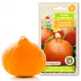 Uchiki Kuri Pumpkin Toraf Vegetable Seeds, 5g Pack