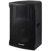 Portatīvais skaļrunis Blaupunkt PA1500PRO, melns