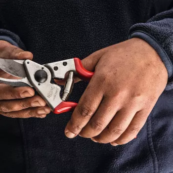 Felco | Kreisās rokas atzarošanas šķēres | FELCO 16