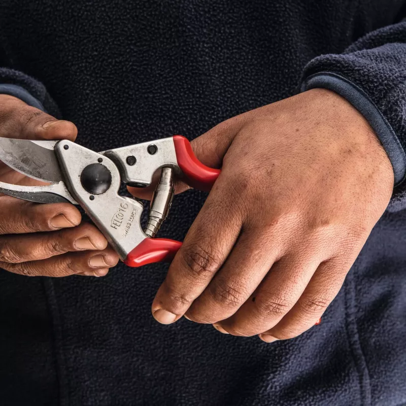 Felco | Kreisās rokas atzarošanas šķēres | FELCO 16