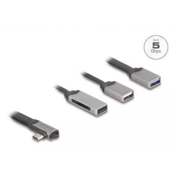 DeLOCK 64303 USB 3.2 Gen 1 Type-C centrmezgls 5000 Mbit/s Pelēks