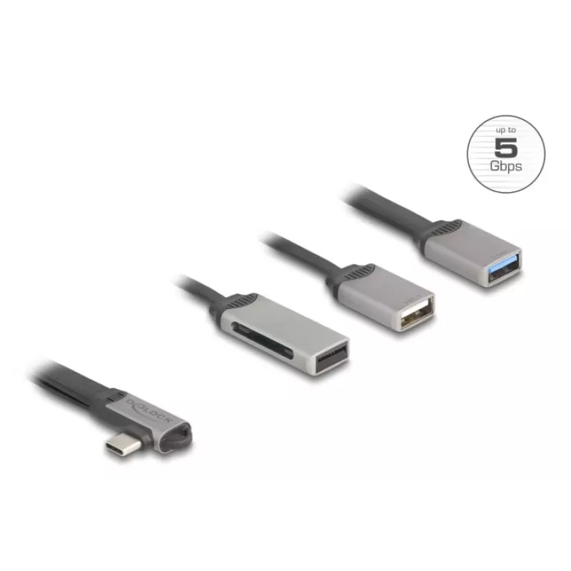 DeLOCK 64303 USB 3.2 Gen 1 Type-C centrmezgls 5000 Mbit/s Pelēks