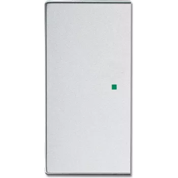 Busch-Jaeger 2CKA006220A0048 pārsega plate sensoru turētājam un kontaktligzdai, sudraba (2CKA006220A0048)
