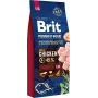 Sausā suņu barība Brit Premium by Nature Senior L+XL 15 kg — vista, 27% olbaltumvielu, 14% tauku, lieliem un milzu senioru suņiem