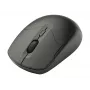 RF raidītājs TRACER BOSS Nano 2.4 GHz bezvadu tālvadības pults