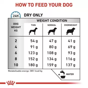 Sausā suņu barība Royal Canin Anallergenic Small — hipoalerģiska formula maziem pieaugušiem suņiem, 3 kg, gaļas garša, bez lipekļa un cukura