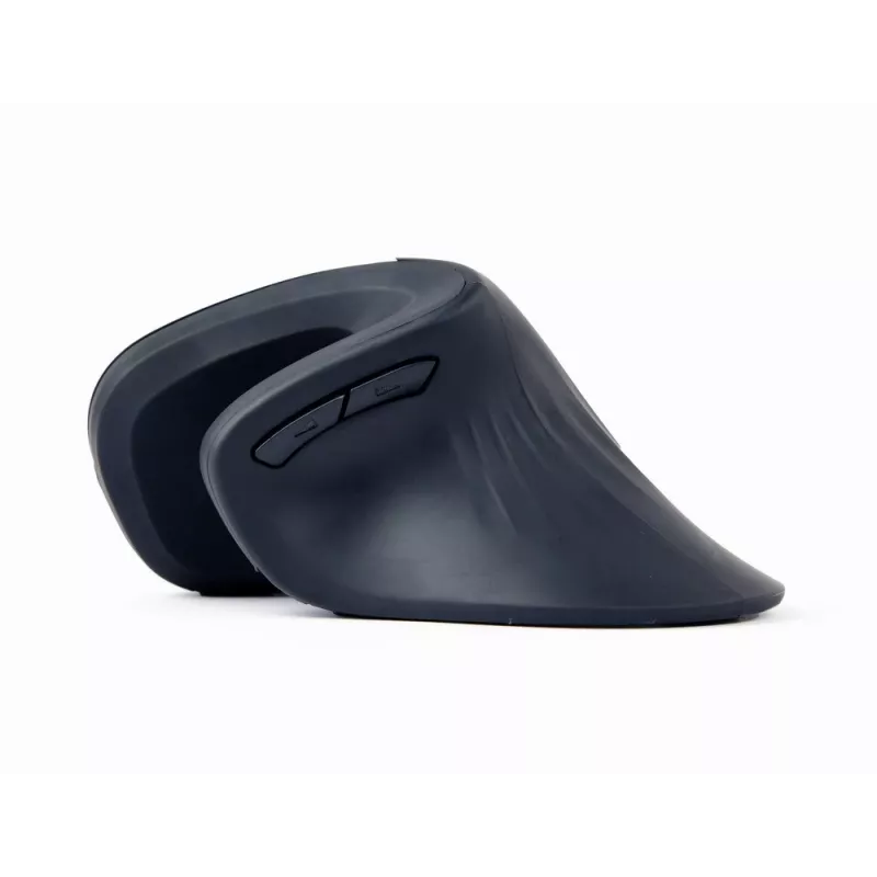 Gembird MUSW-ERGO-03 pele Mājas Labās rokas RF bezvadu Optiskā 1600 DPI