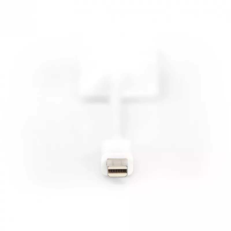 DisplayPort adaptera kabelis Digitus DB-340407-001-W