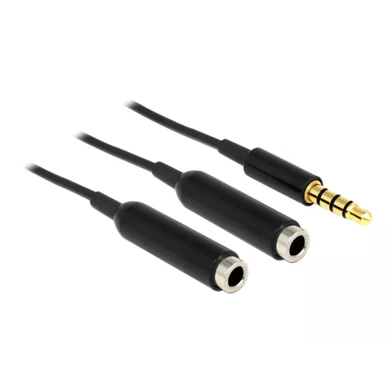 Audio kabelis DeLOCK 65575 0,25 m 3,5 mm 2 x 3,5 mm melns
