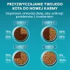 PURINA One Bifensis Senior 7+ - sausā kaķu barība - 800 g