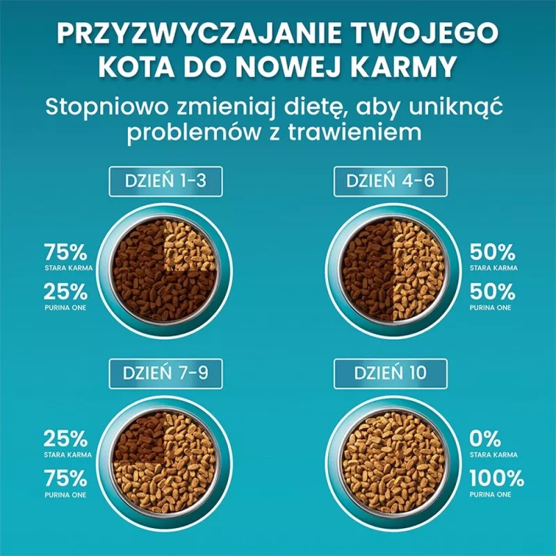 PURINA One Bifensis Senior 7+ - sausā kaķu barība - 800 g