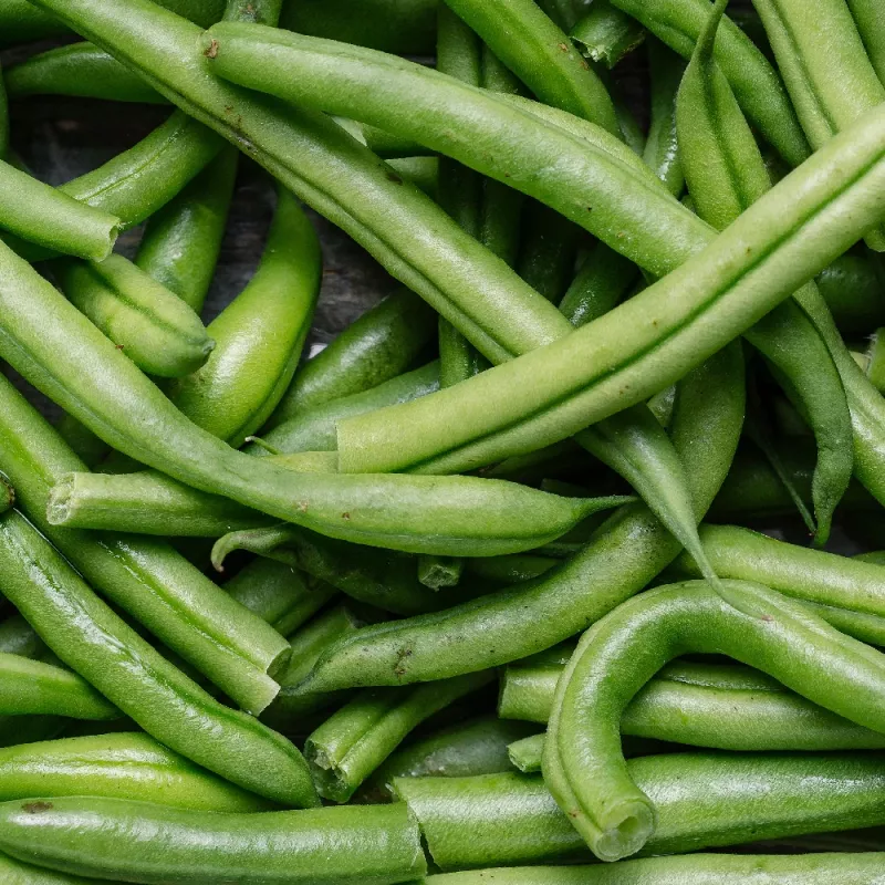 Nomad Green pundurpupu sēklas, 50 g - dārzeņu sēklas
