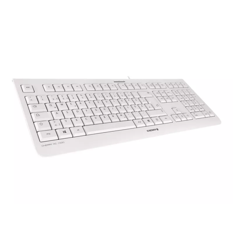 CHERRY KC 1000 tastatūra birojam USB QWERTZ vācu Pelēka