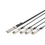 Tiešās pieslēguma kabelis Digitus DN-81325 40G QSFP+ uz 4xSFP+ 5m