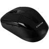 Canyon CNR-MSOW06B RF Wireless pele