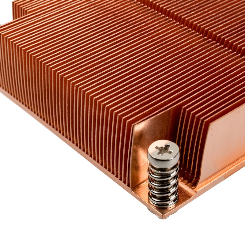 Silverstone SST-XE01-2011 serveris