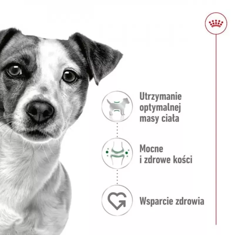 ROYAL CANIN Adult Mini S - sausā suņu barība - 2 kg