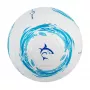 Futbola bumba White Shark TB-001 Dribbler 32 paneļu 5. izmērs