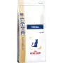 Sausā kaķu barība Royal Canin Renal Adult 2 kg — ar mājputnu garšu, 23% olbaltumvielu, 17% tauku