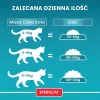 PURINA One Bifensis Sterilcat Beef - sausā kaķu barība - 800 g