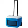 Coleman 2000036081 46 L zila