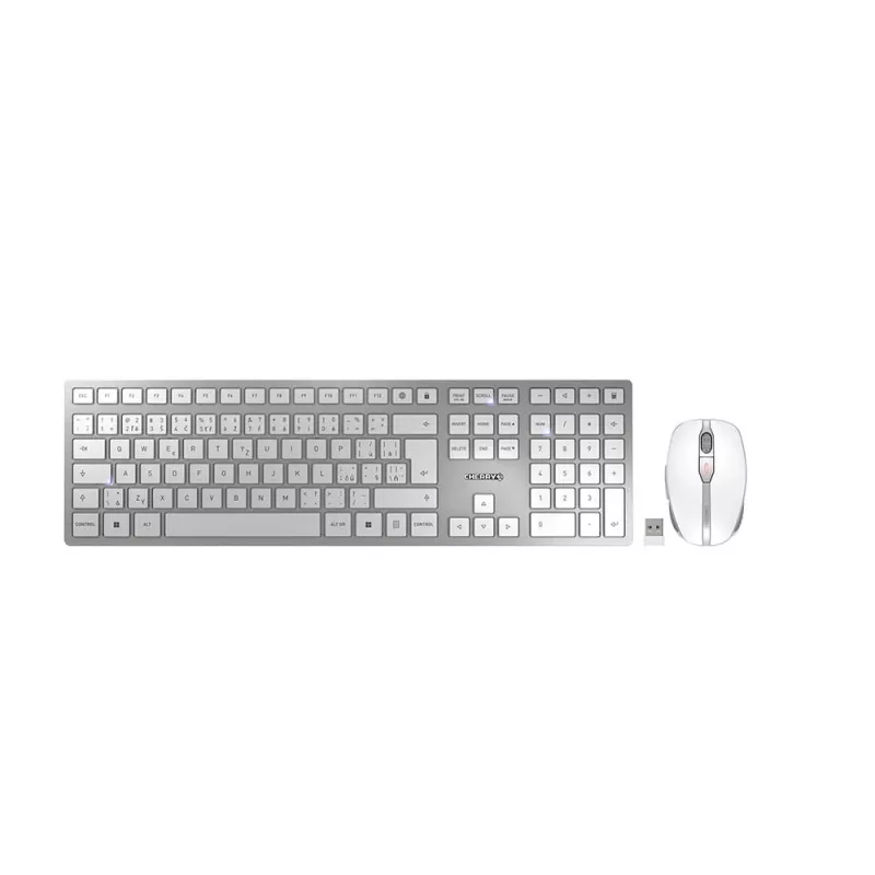 CHERRY DW 9100 plāns tastatūra Pele iekļauta Universāla RF Wireless + Bluetooth Čehu, Slovāku Sudraba