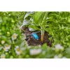 Gardena 13315-20 dārza rīks 15 L melns