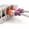 Digitus A-CC-MG Ethernet komutācijas kabelis fuksīna