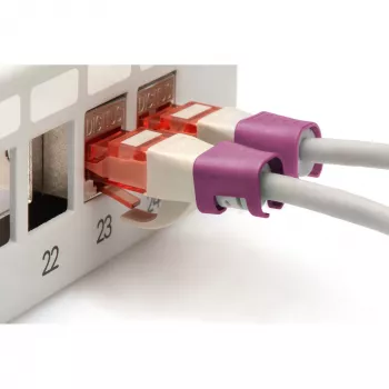 Digitus A-CC-MG Ethernet komutācijas kabelis fuksīna