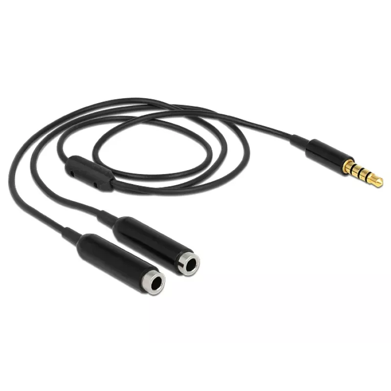 Audio kabelis DeLOCK 65575 0,25 m 3,5 mm 2 x 3,5 mm melns