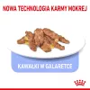 Mitrā kaķu barība Royal Canin Indoor Sterilized 85 g paciņa — pieaugušiem kastrētiem iekštelpu kaķiem, mājputnu garšas, iepakojumā 12 x 85 g