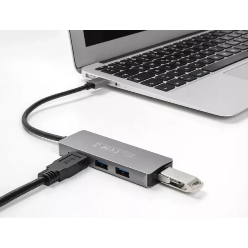 DeLOCK 63171 USB centrmezgls 3.2 Gen 1 A tipa 5000 Mbit/s Pelēks