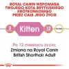 Sausā kaķu barība Royal Canin British Shorthair Kitten 2 kg – vista, 38% olbaltumvielu, 20% tauku, augšanas formula