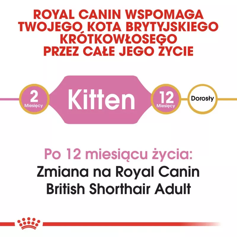 Sausā kaķu barība Royal Canin British Shorthair Kitten 2 kg – vista, 38% olbaltumvielu, 20% tauku, augšanas formula