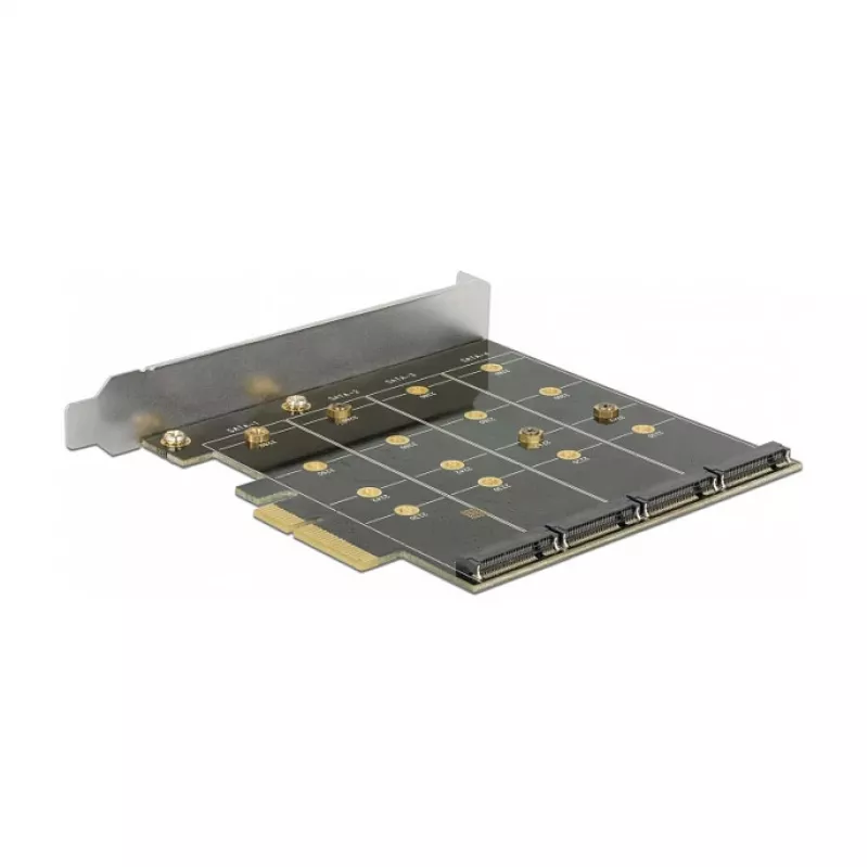 Saskarnes karte DeLOCK 89888