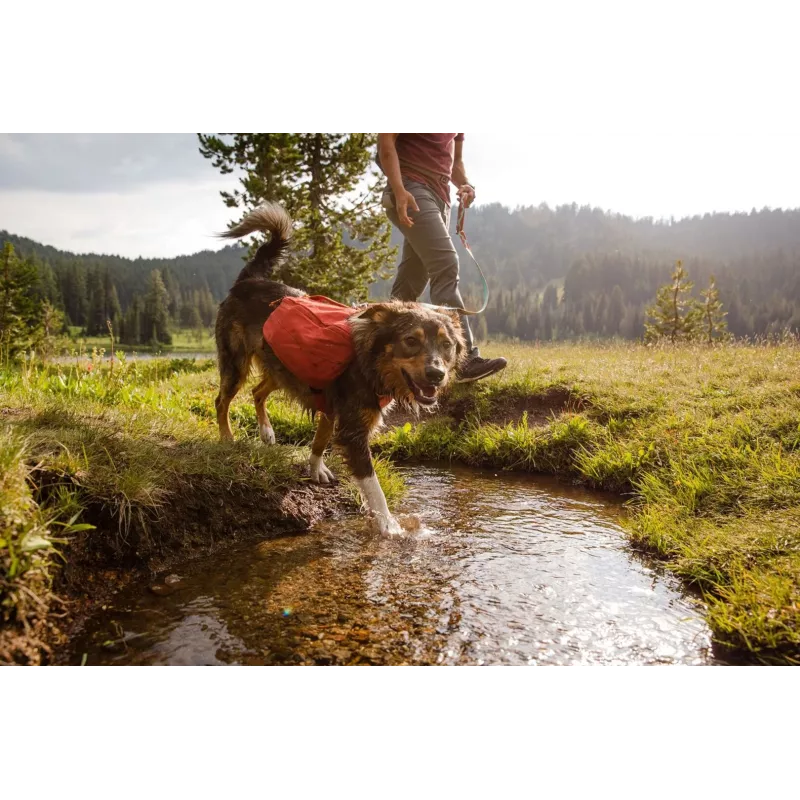 Ruffwear Front Range XS zils poliesters