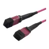 LWL-MTP-Female komutācijas kabelis OM4 LowLoss(ELite), 12 šķiedru, B tipa krustojums, viršu violeta, 15m, Synergy 21 (S216792)