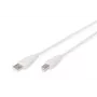 Assmann USB savienojuma kabelis, A – B vīr./vīr., 1,8 m, USB 2.0 saderīgs, UL, bēšs (AK-300102-018-E)