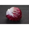 Lettuce Chicory Palla Rossa 3 Toraf dārzeņu sēklas, 5g iepakojums
